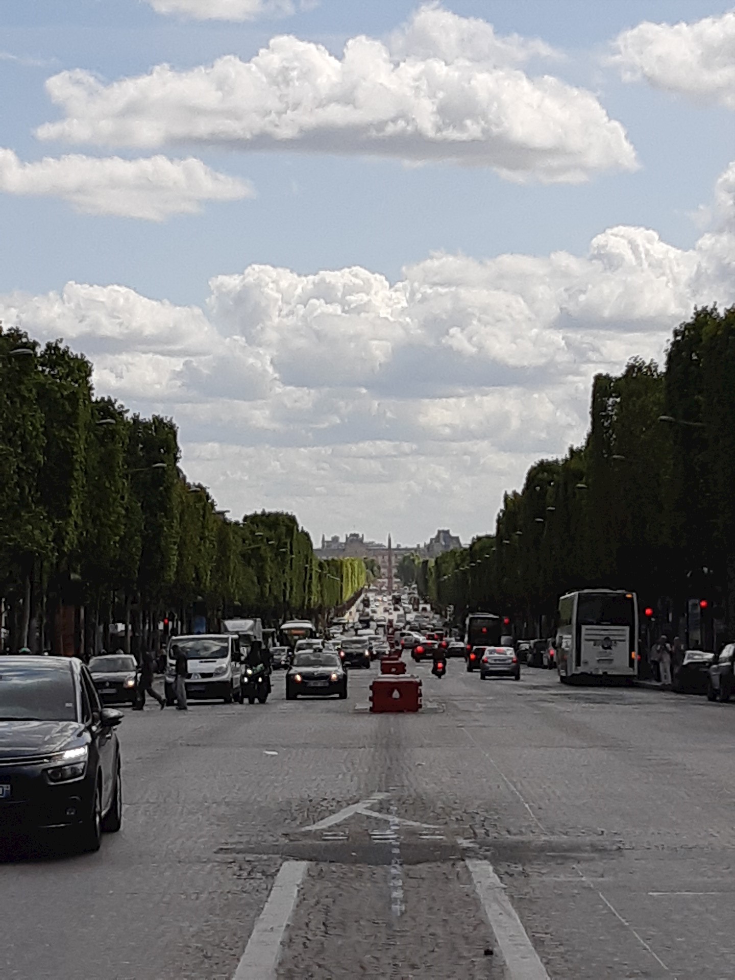 20190819_125446.jpg