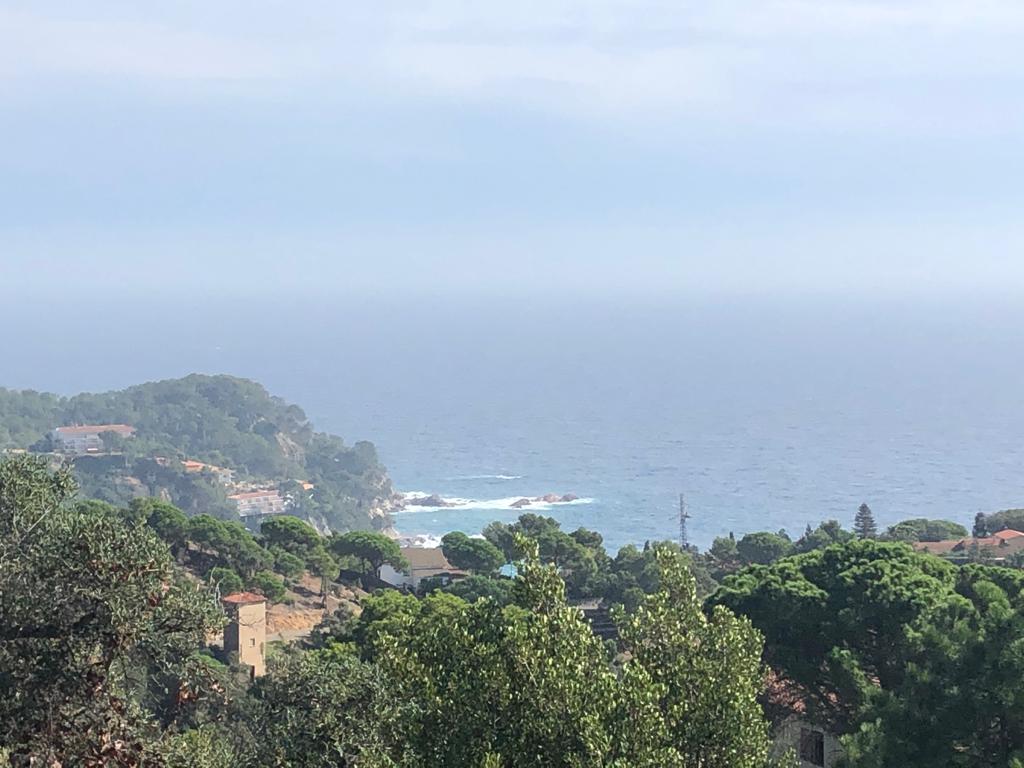 IMG-20191021-WA0009.jpg