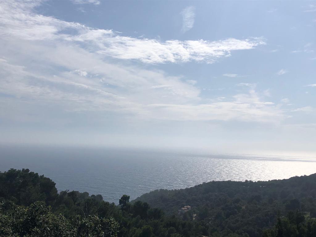 IMG-20191021-WA0011.jpg